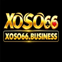 xoso66business's profile picture