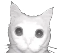 Wrazool's profile picture