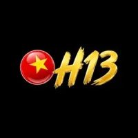 h13solutions's profile picture