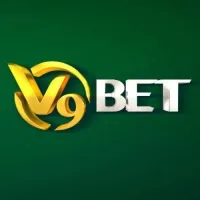 v9betaccountant's profile picture