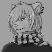 Grinsekatze447's profile picture