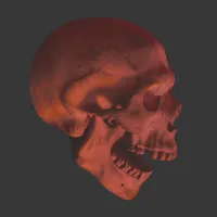MimiK's profile picture