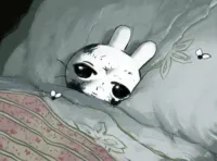 soba's profile picture