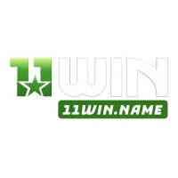 11winnamevn's profile picture