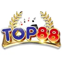 top88visionvn's profile picture
