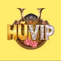 huvipblog's profile picture