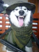 Khaski.'s profile picture