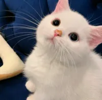 whusly.eWAVE's profile picture