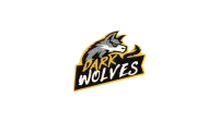 Cue.darkwolves's profile picture