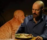 Brooksy's profile picture