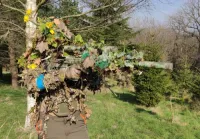 Sec7et's profile picture