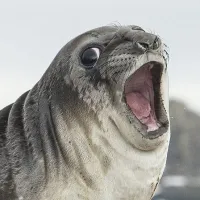 caabbii's profile picture