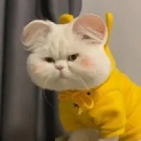 godgundragon's profile picture
