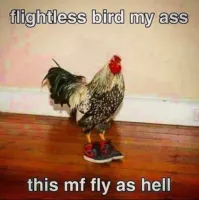 Flightless's profile picture