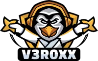 V3R0XX's profile picture