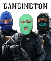 Vertus's profile picture