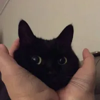 River's profile picture